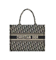Dior Book Tote
